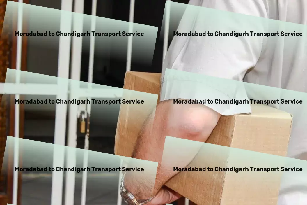 Moradabad to Chandigarh Cargo Secure cargo transport