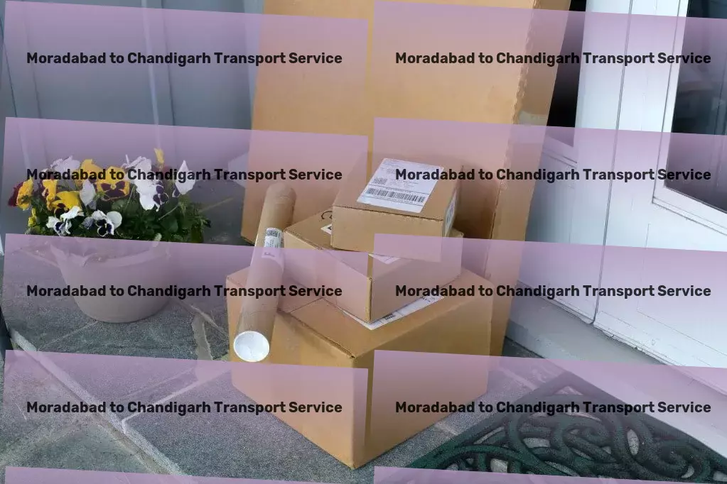 Moradabad to Chandigarh Cargo Interstate parcel delivery